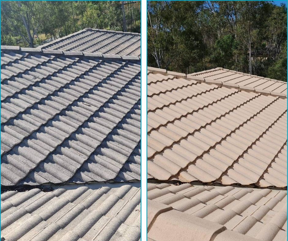 Before And After Roof Washing Engadine House